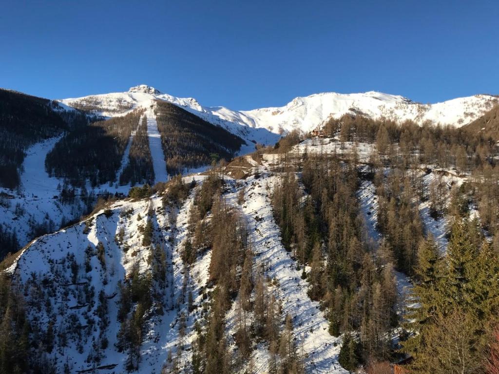Magnifique 2 Pieces Proche Place D'Auron Dış mekan fotoğraf